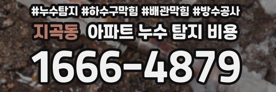 지곡동 아파트 누수 탐지 비용