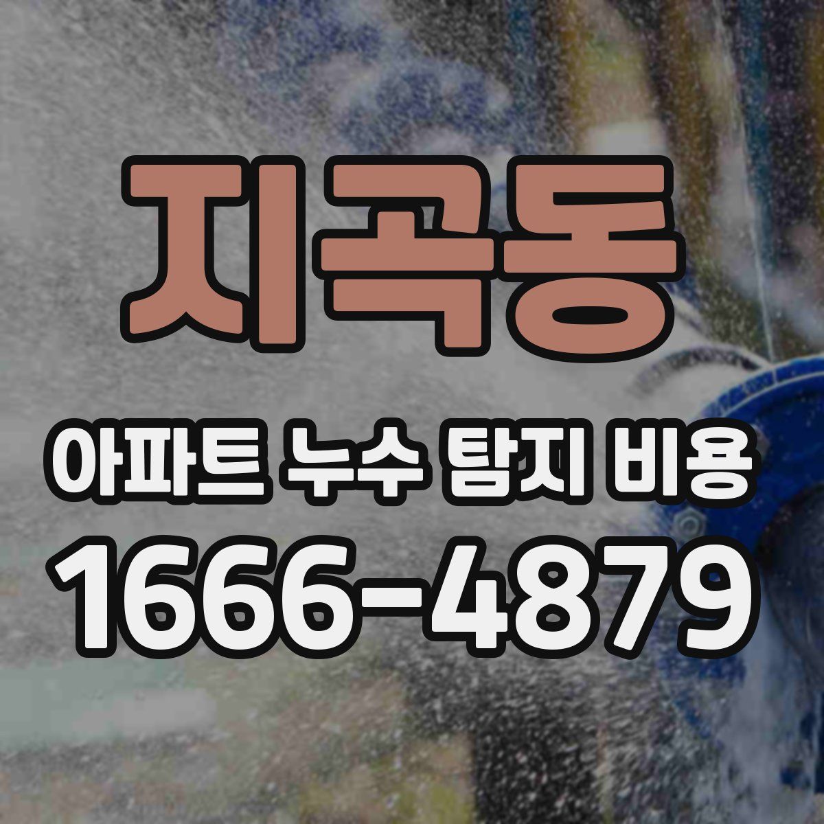 지곡동 아파트 누수 탐지 비용