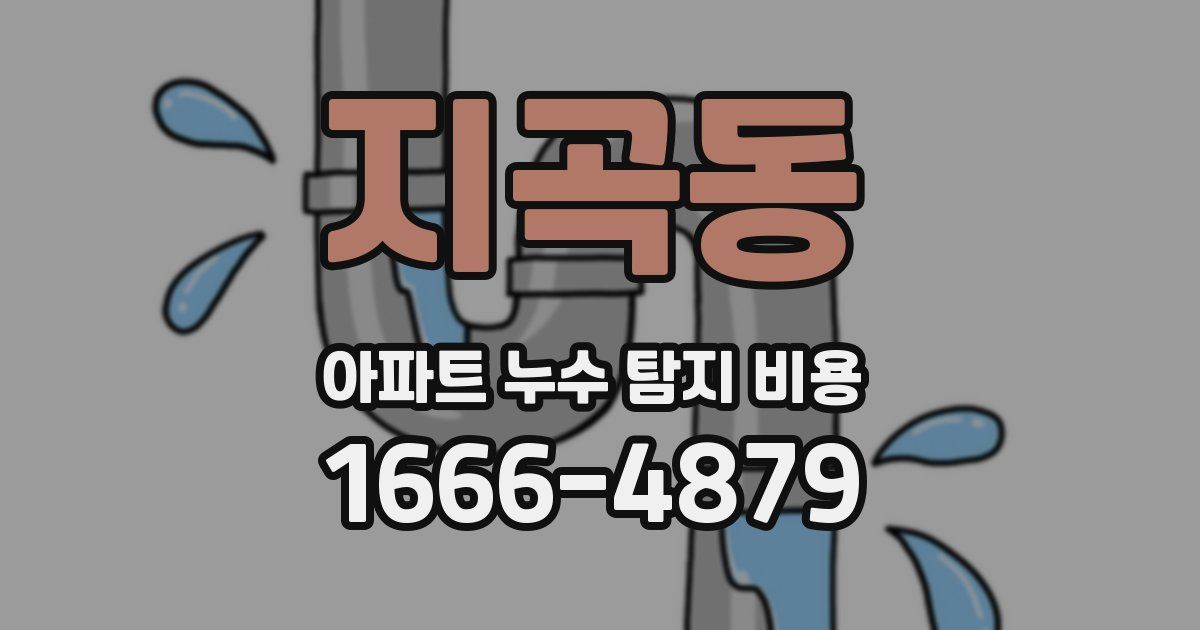 지곡동 아파트 누수 탐지 비용