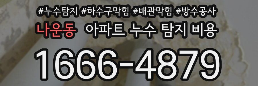 나운동 아파트 누수 탐지 비용