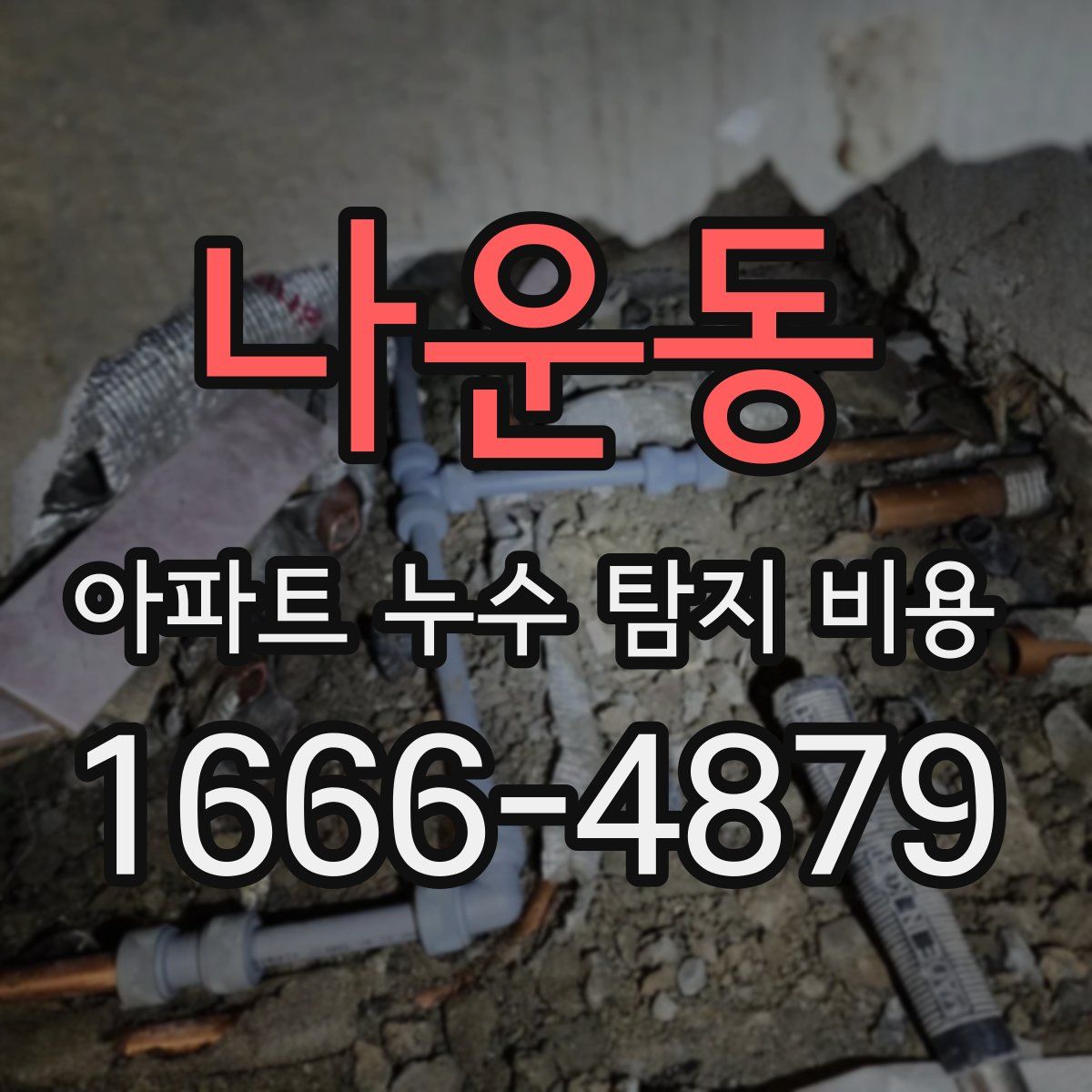 나운동 아파트 누수 탐지 비용