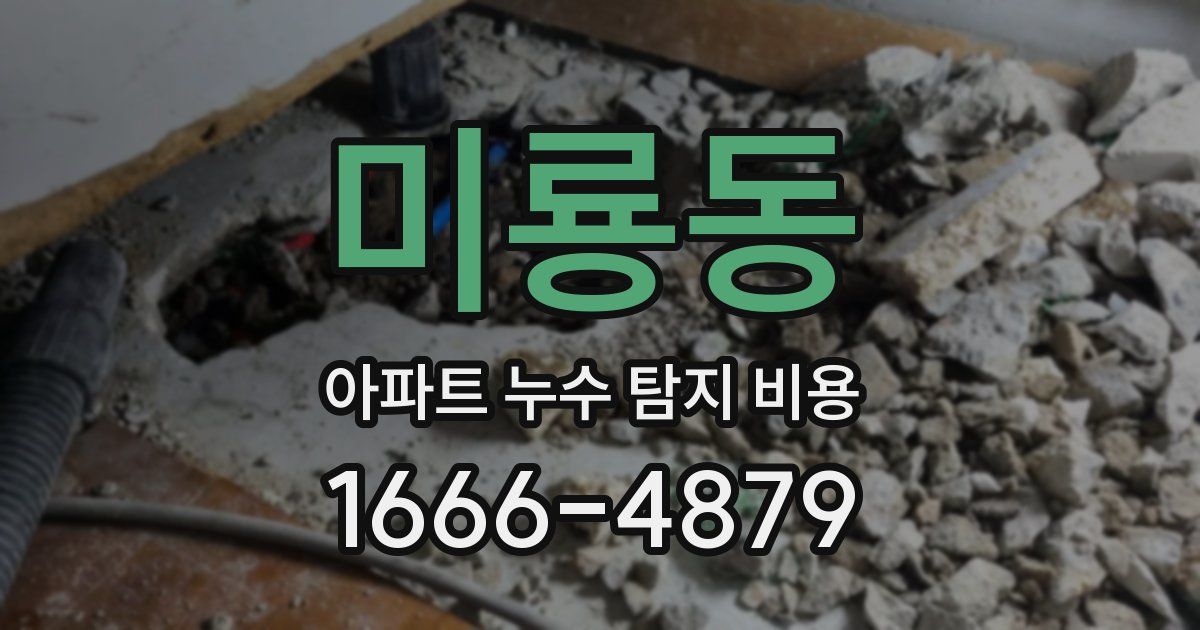 미룡동 아파트 누수 탐지 비용