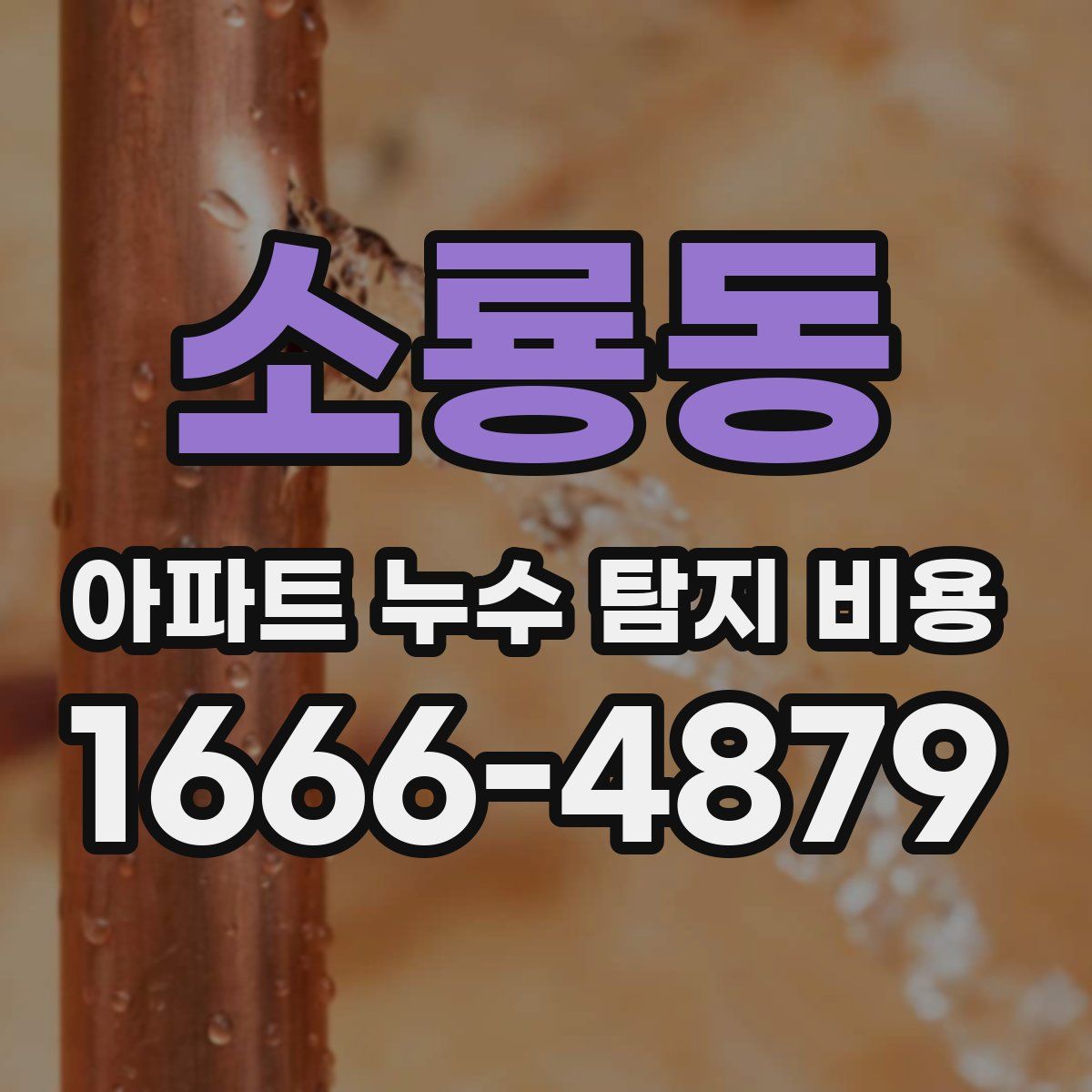 소룡동 아파트 누수 탐지 비용