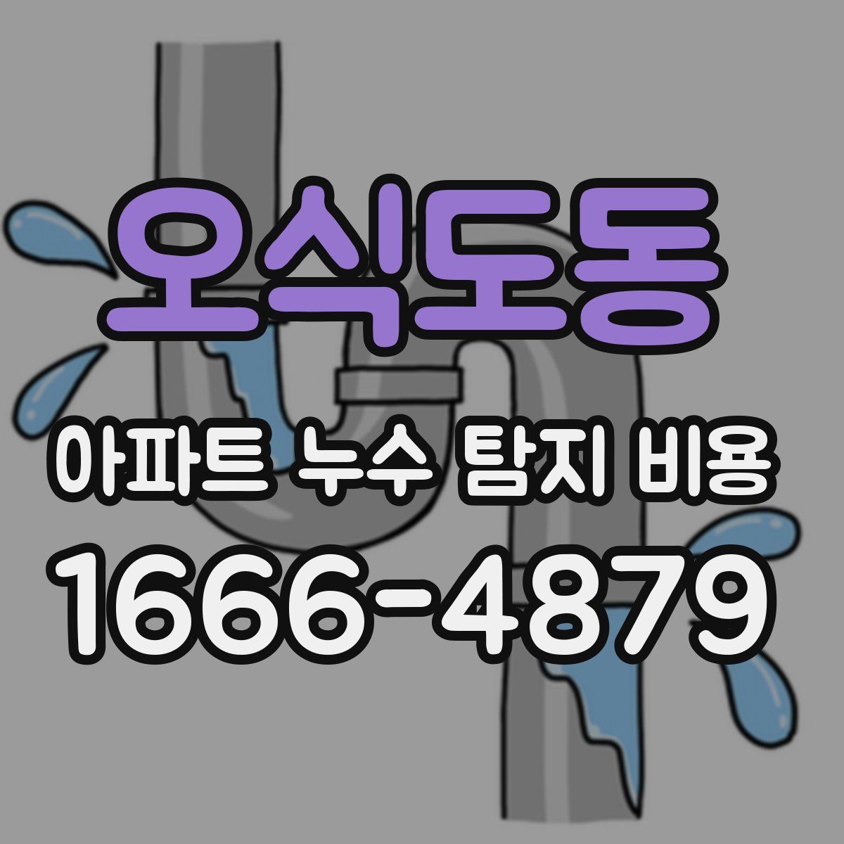 오식도동 아파트 누수 탐지 비용