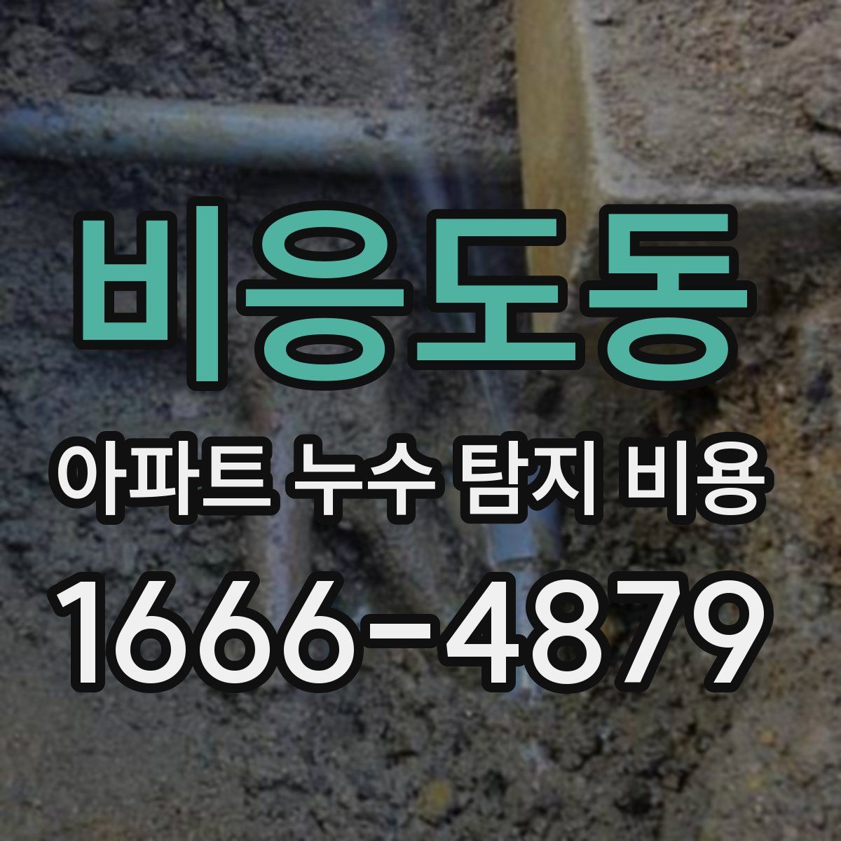 비응도동 아파트 누수 탐지 비용