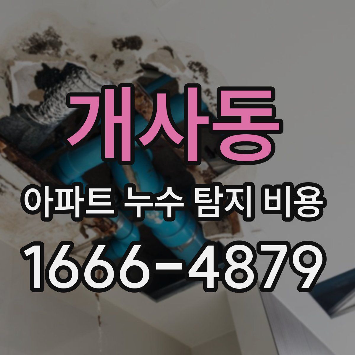 개사동 아파트 누수 탐지 비용