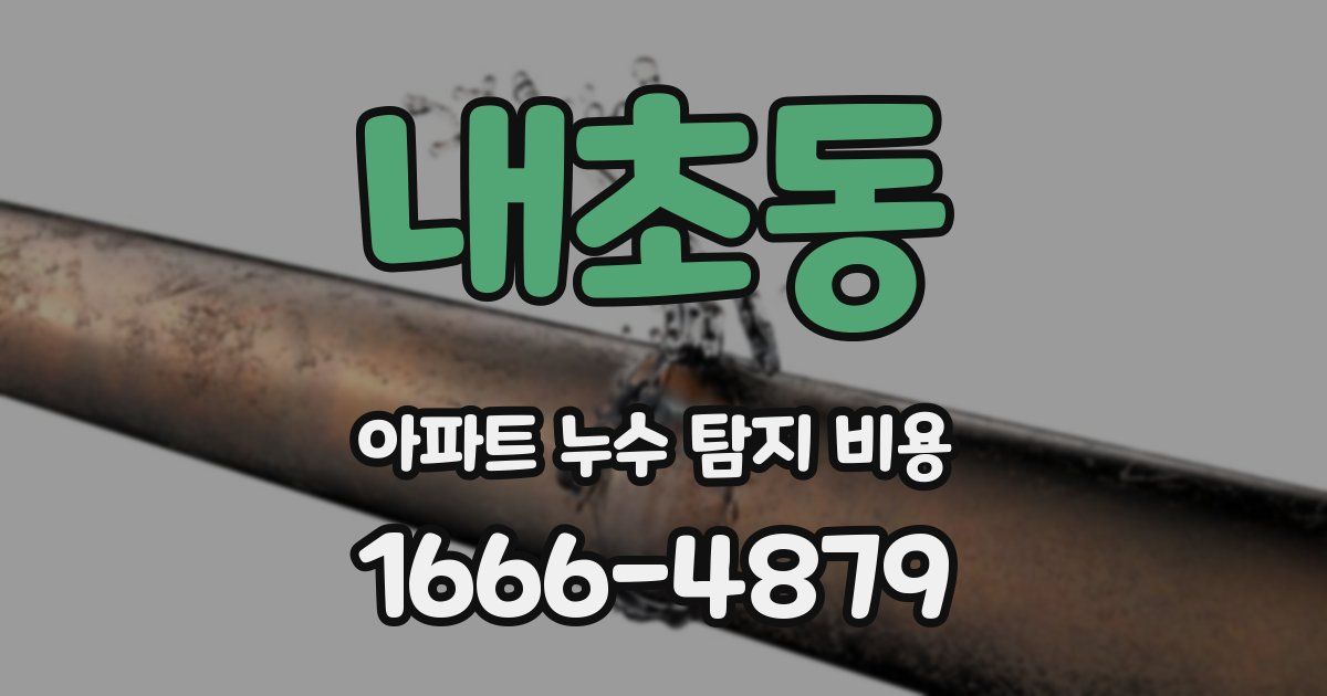 내초동 아파트 누수 탐지 비용