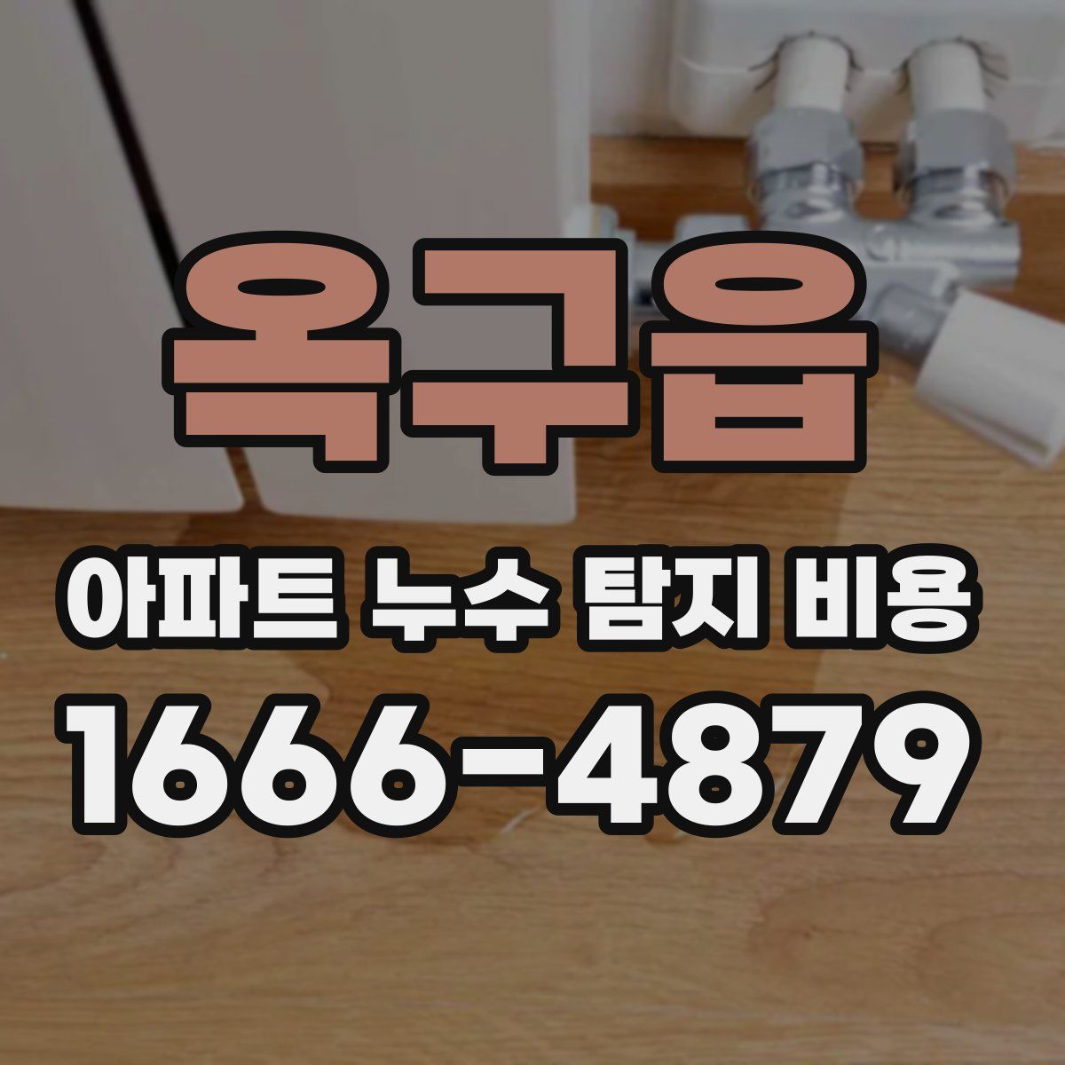 옥구읍 아파트 누수 탐지 비용