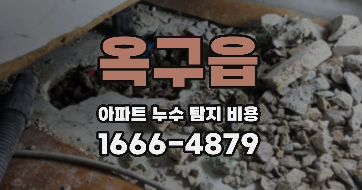 옥구읍 아파트 누수 탐지 비용