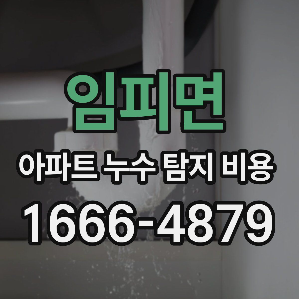 임피면 아파트 누수 탐지 비용