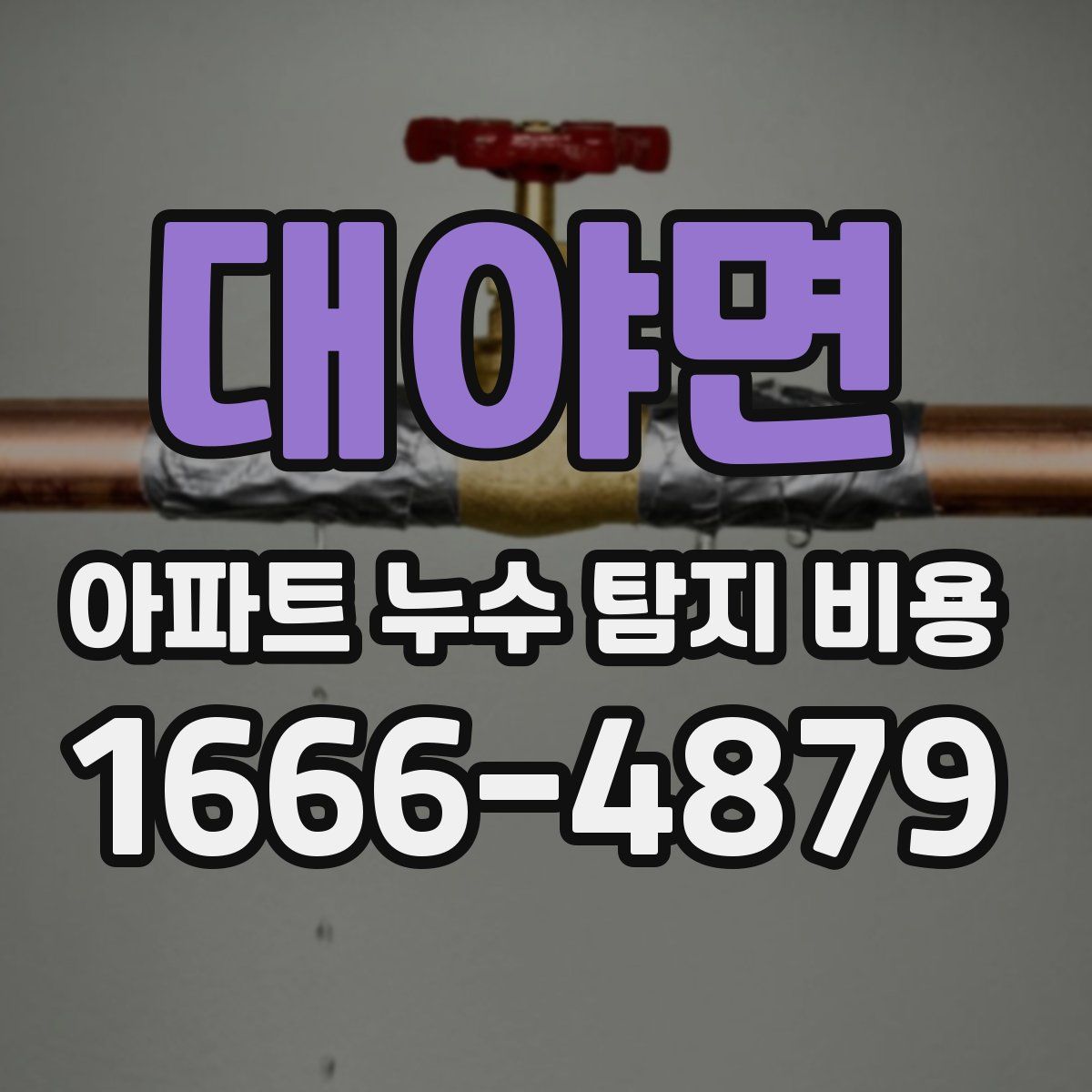 대야면 아파트 누수 탐지 비용