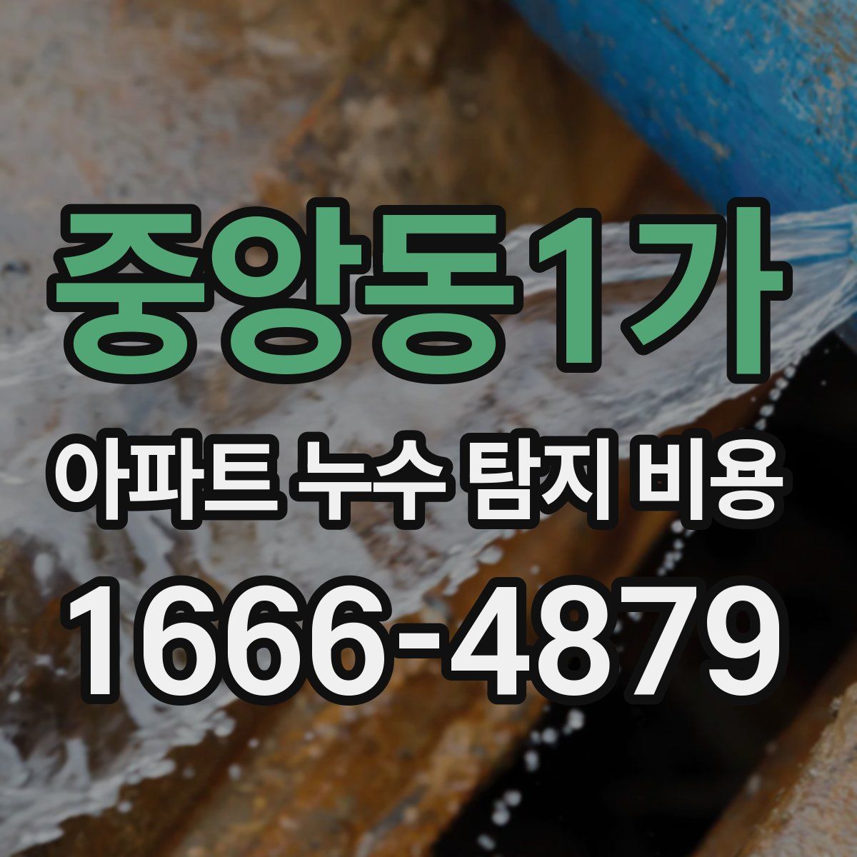 중앙동1가 아파트 누수 탐지 비용