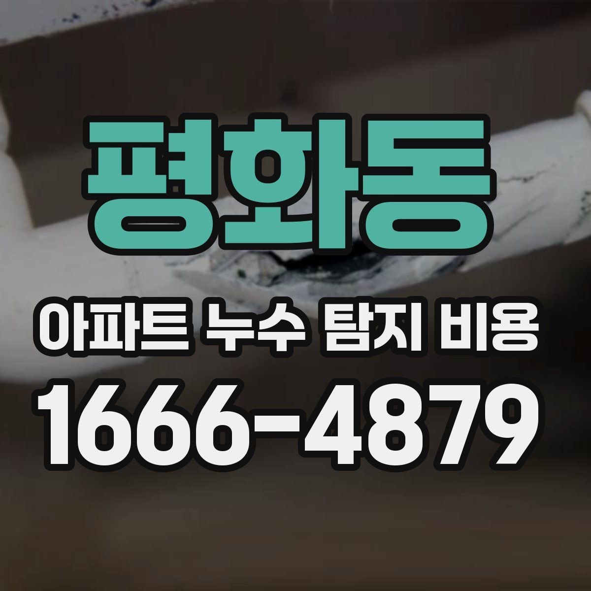 평화동 아파트 누수 탐지 비용