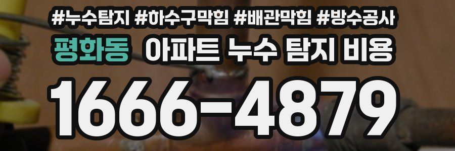 평화동 아파트 누수 탐지 비용