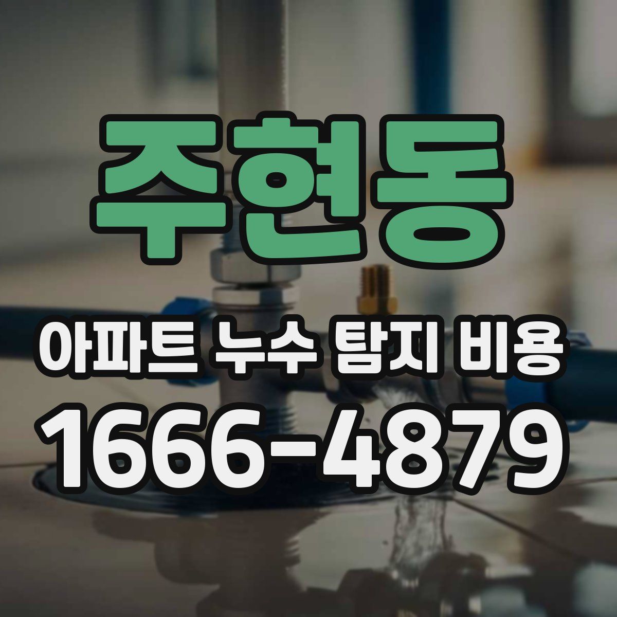 주현동 아파트 누수 탐지 비용
