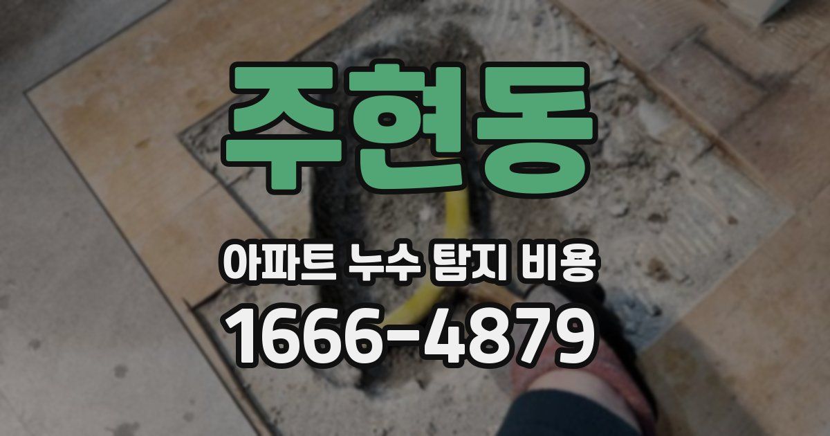 주현동 아파트 누수 탐지 비용