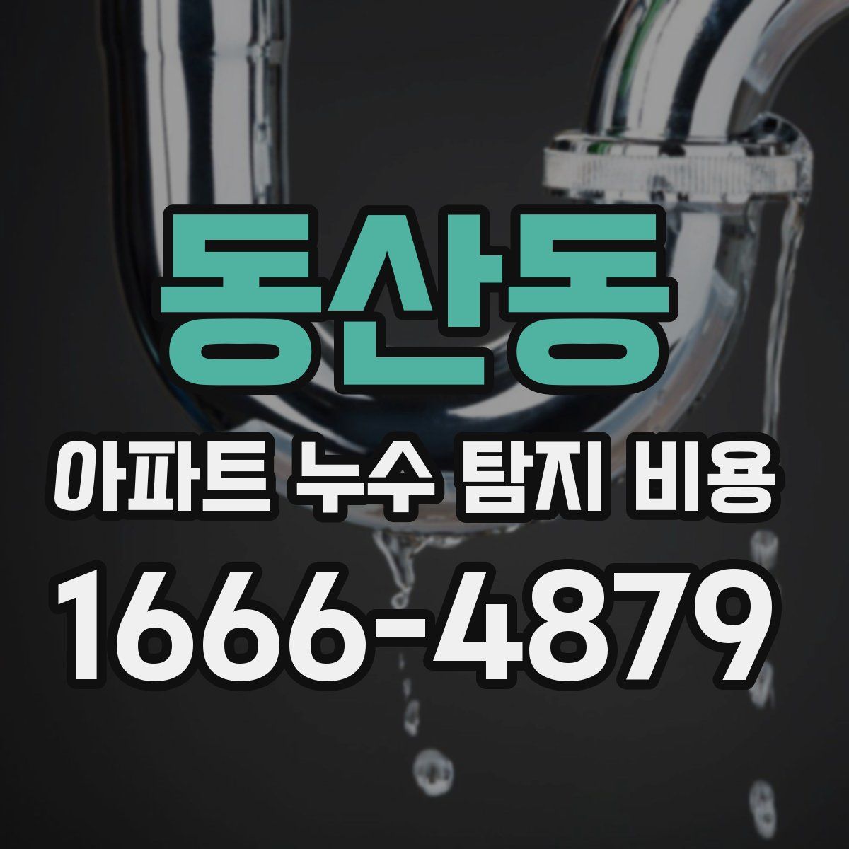 동산동 아파트 누수 탐지 비용