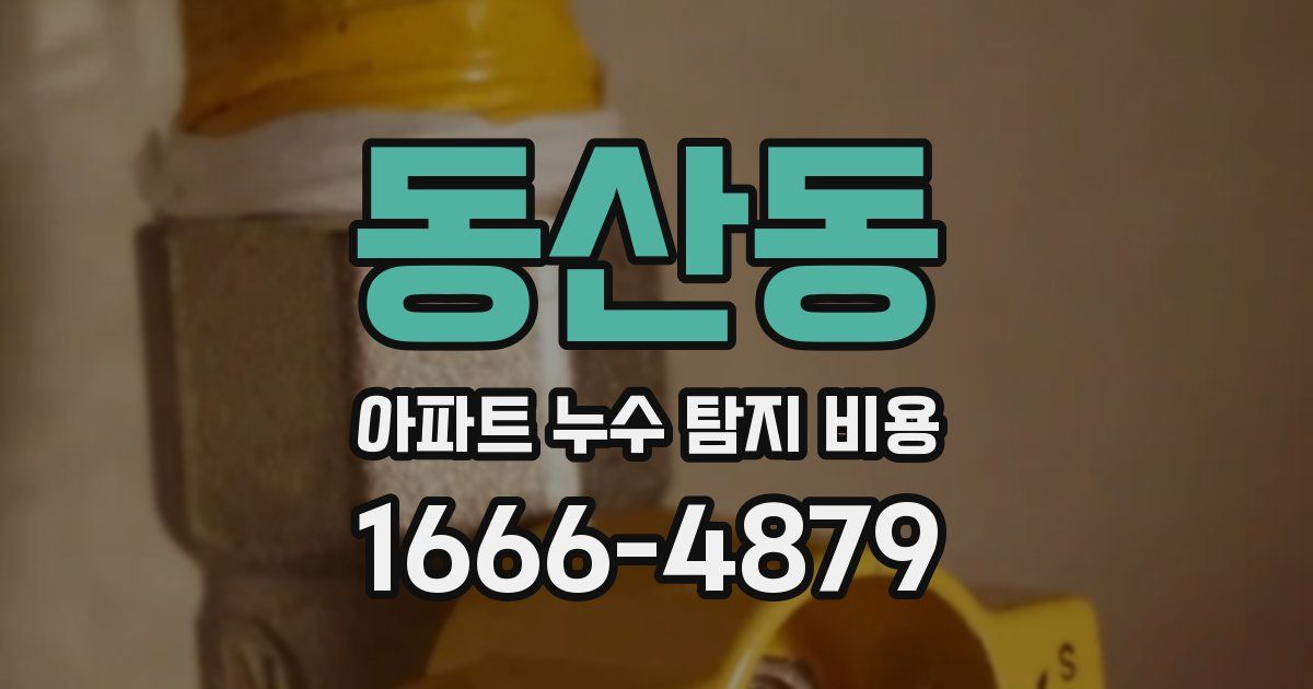 동산동 아파트 누수 탐지 비용