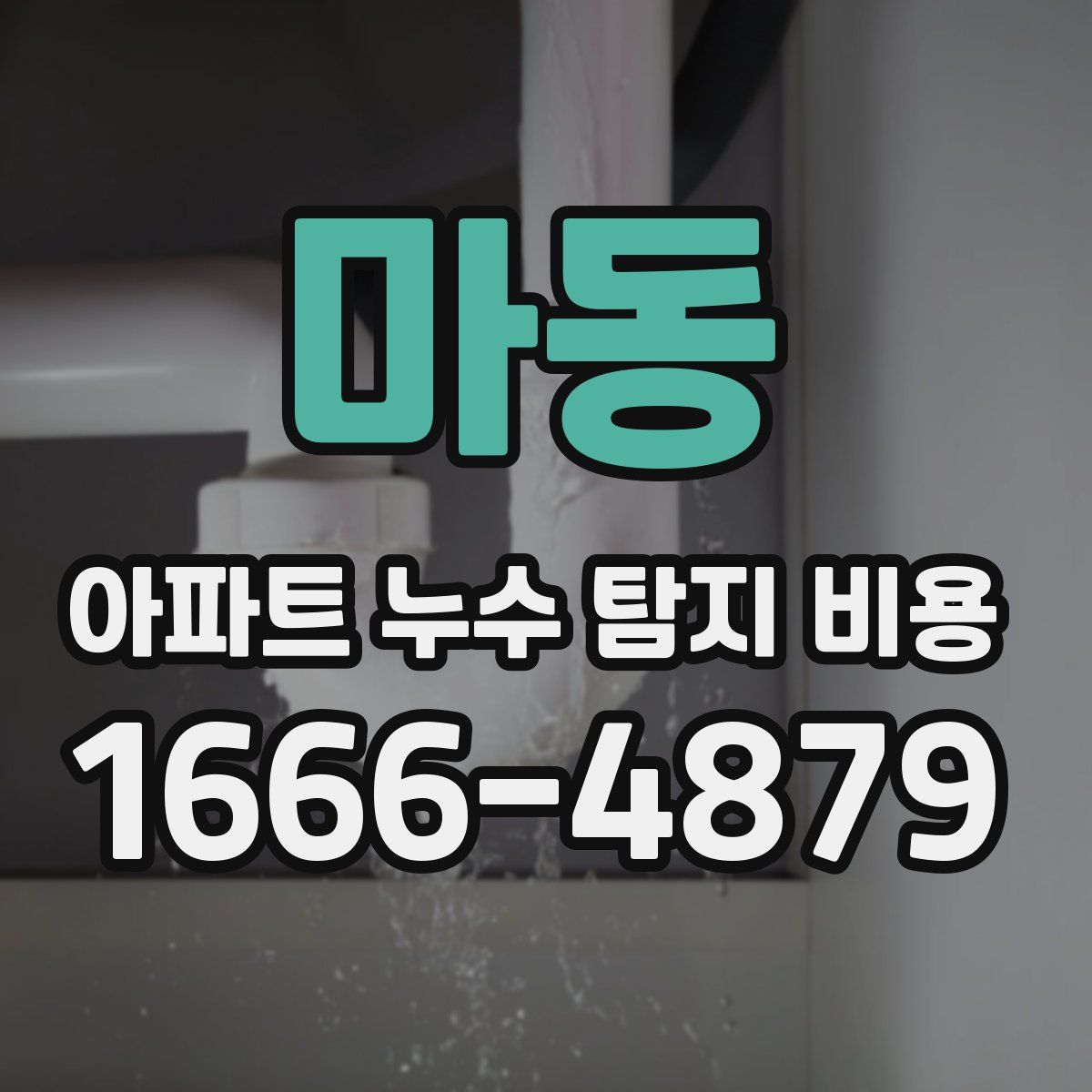 마동 아파트 누수 탐지 비용