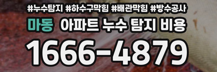 마동 아파트 누수 탐지 비용
