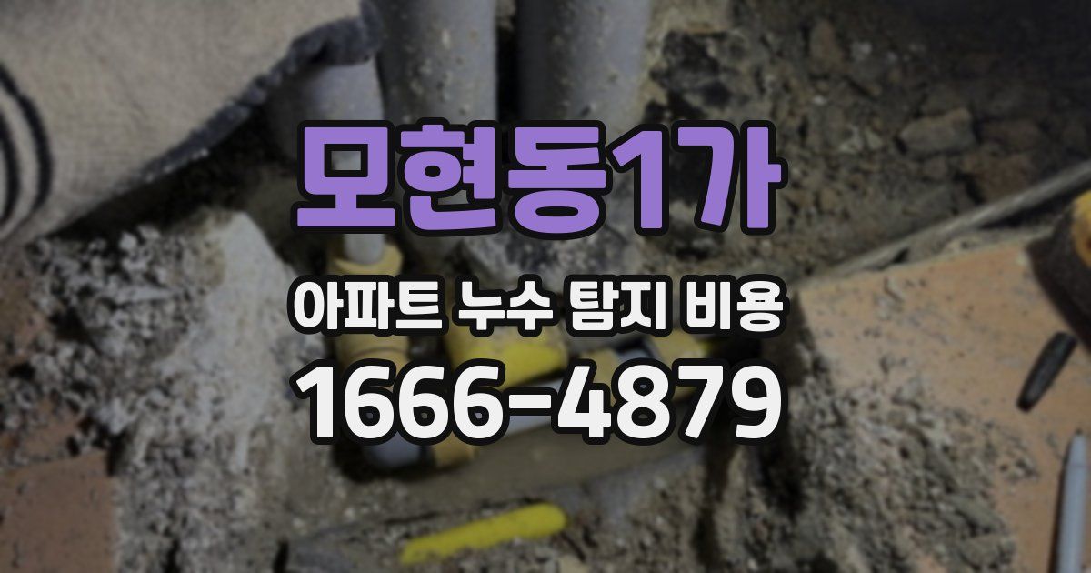 모현동1가 아파트 누수 탐지 비용