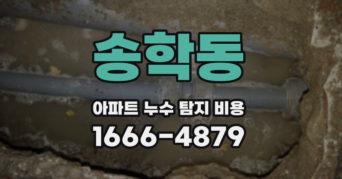 송학동 아파트 누수 탐지 비용