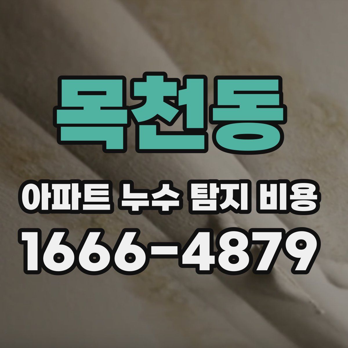 목천동 아파트 누수 탐지 비용