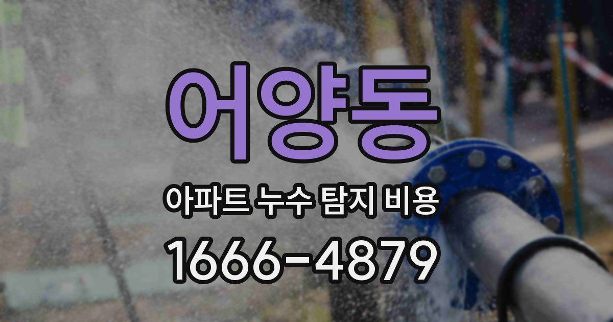 어양동 아파트 누수 탐지 비용