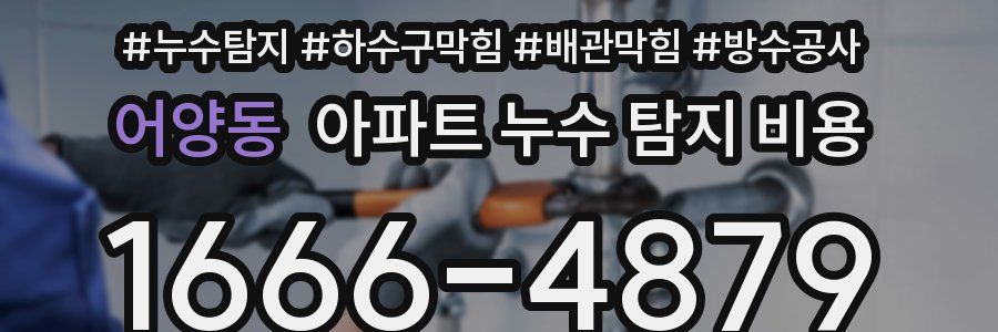 어양동 아파트 누수 탐지 비용