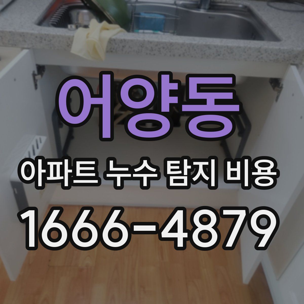 어양동 아파트 누수 탐지 비용