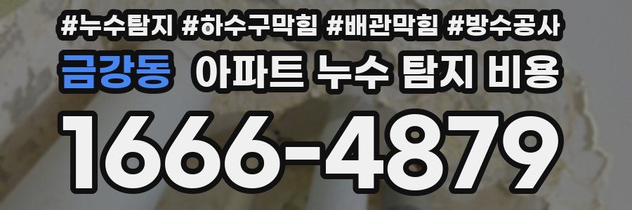 금강동 아파트 누수 탐지 비용