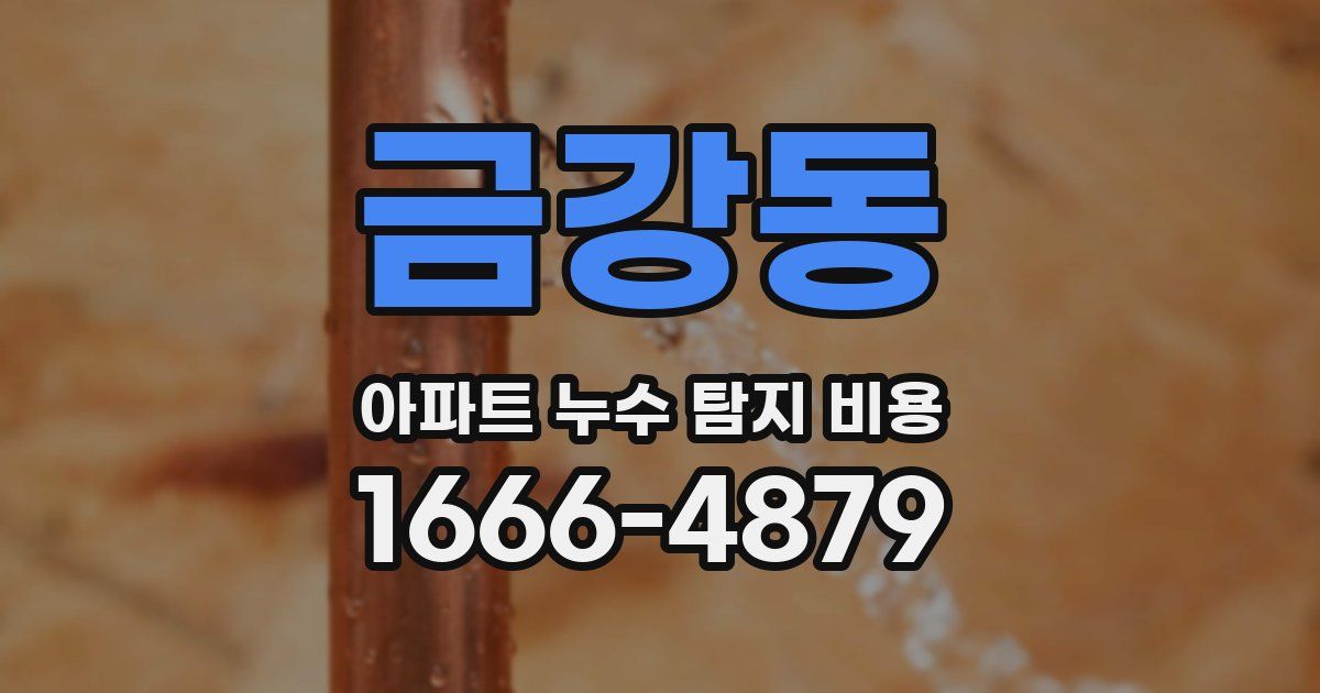 금강동 아파트 누수 탐지 비용