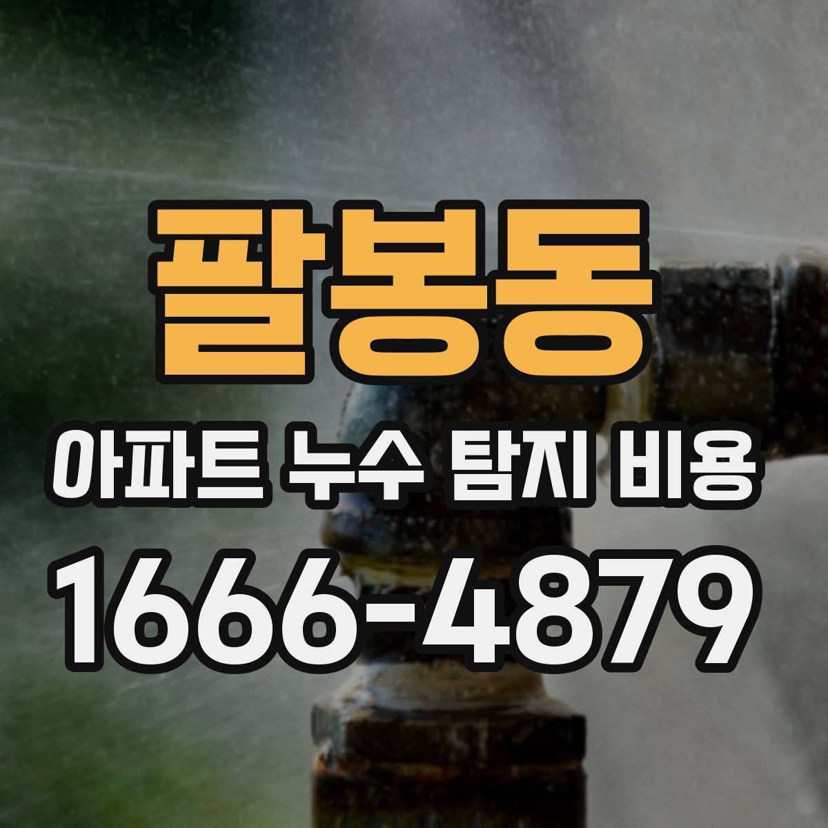 팔봉동 아파트 누수 탐지 비용