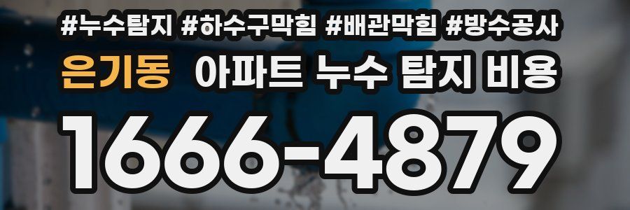 은기동 아파트 누수 탐지 비용
