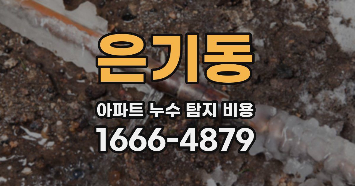 은기동 아파트 누수 탐지 비용