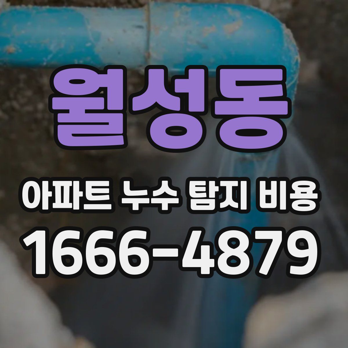 월성동 아파트 누수 탐지 비용