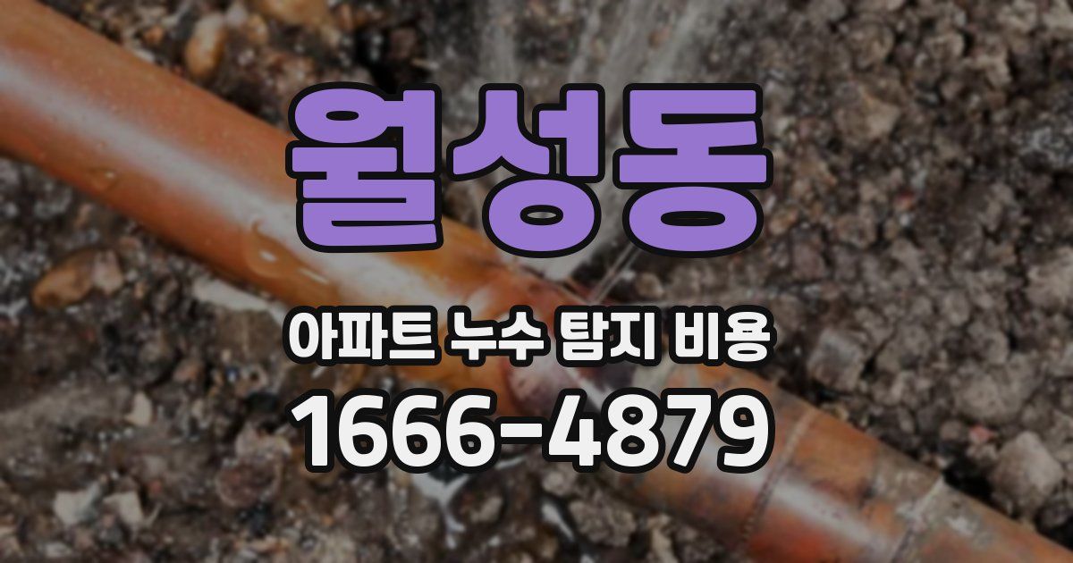 월성동 아파트 누수 탐지 비용