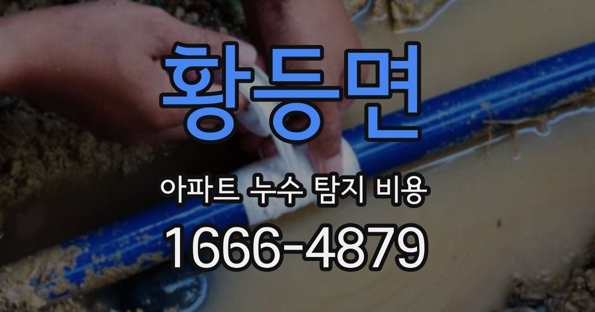 황등면 아파트 누수 탐지 비용