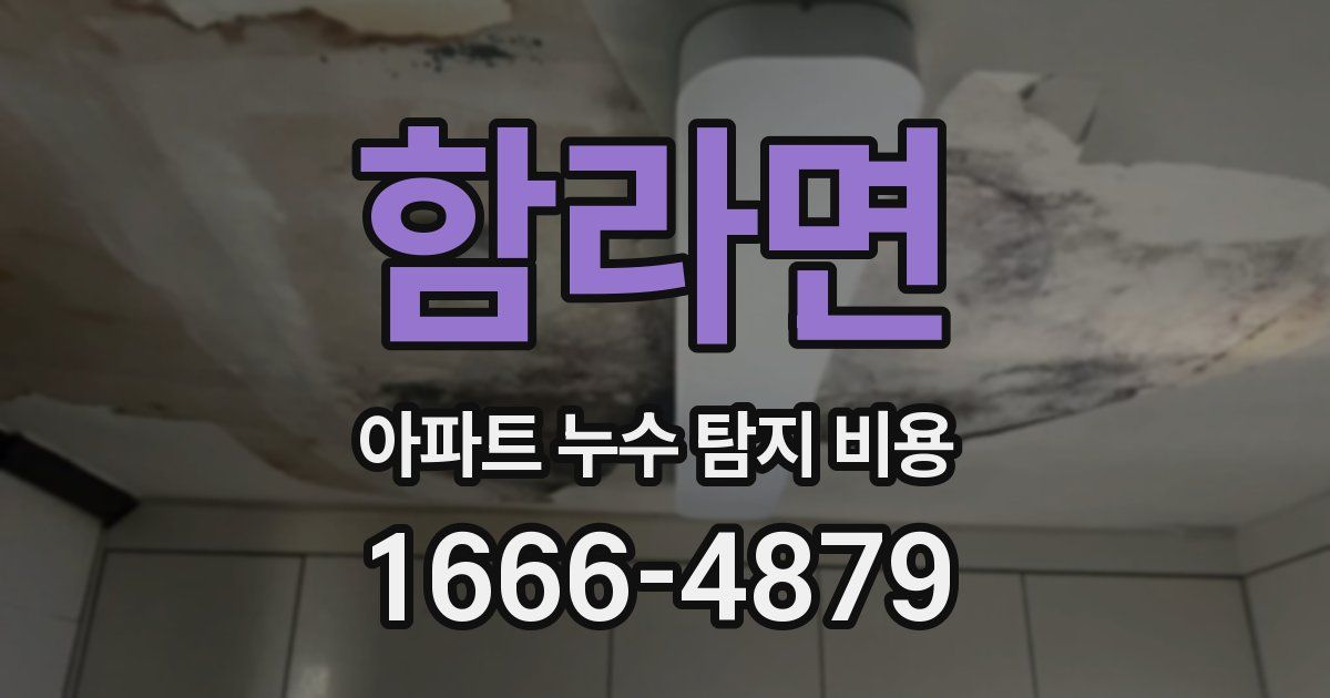 함라면 아파트 누수 탐지 비용