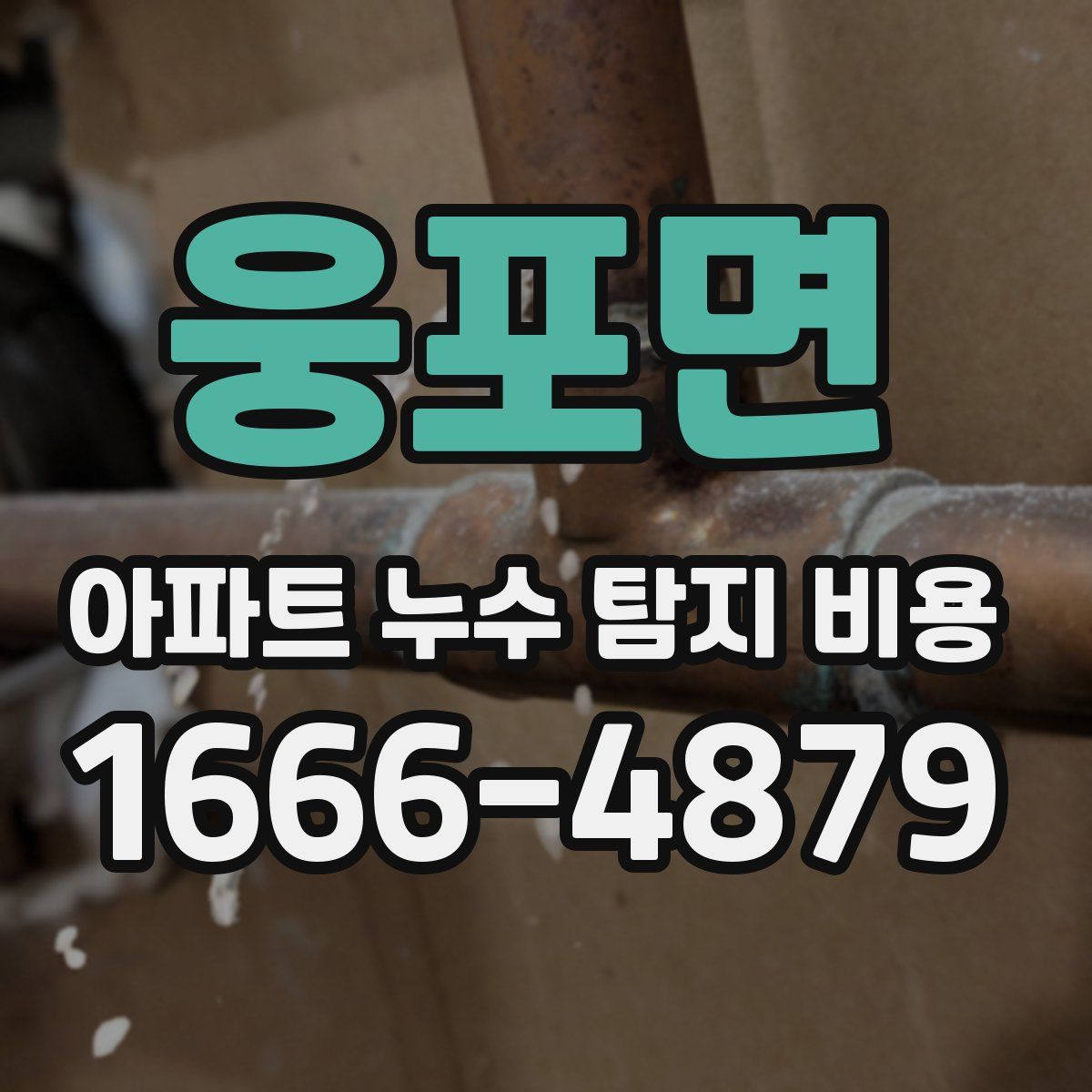 웅포면 아파트 누수 탐지 비용