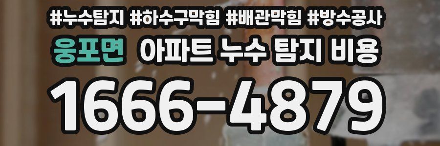 웅포면 아파트 누수 탐지 비용