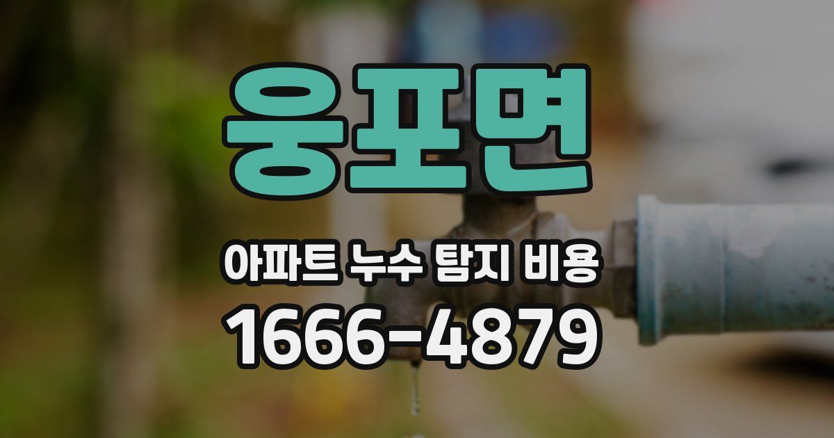 웅포면 아파트 누수 탐지 비용