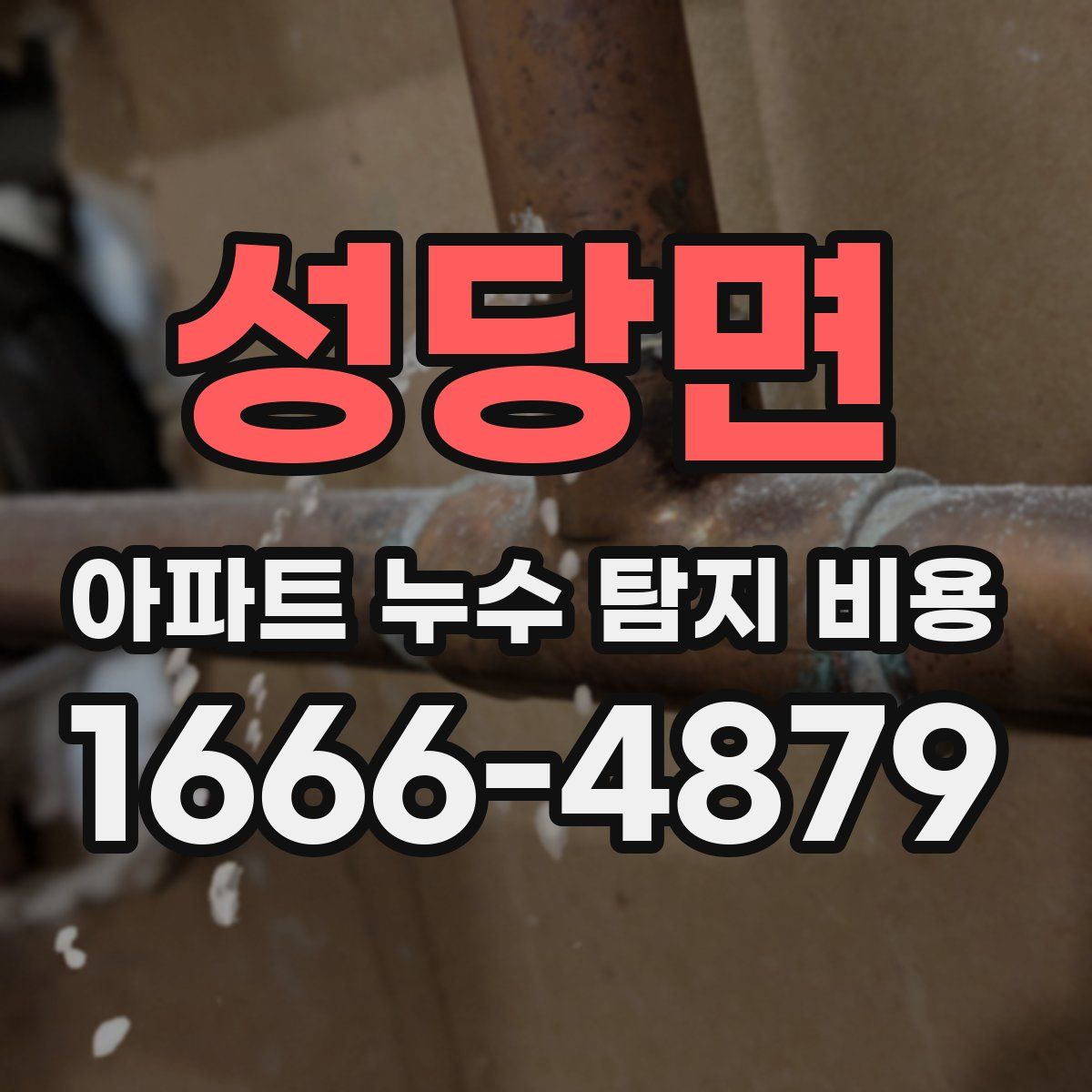 성당면 아파트 누수 탐지 비용