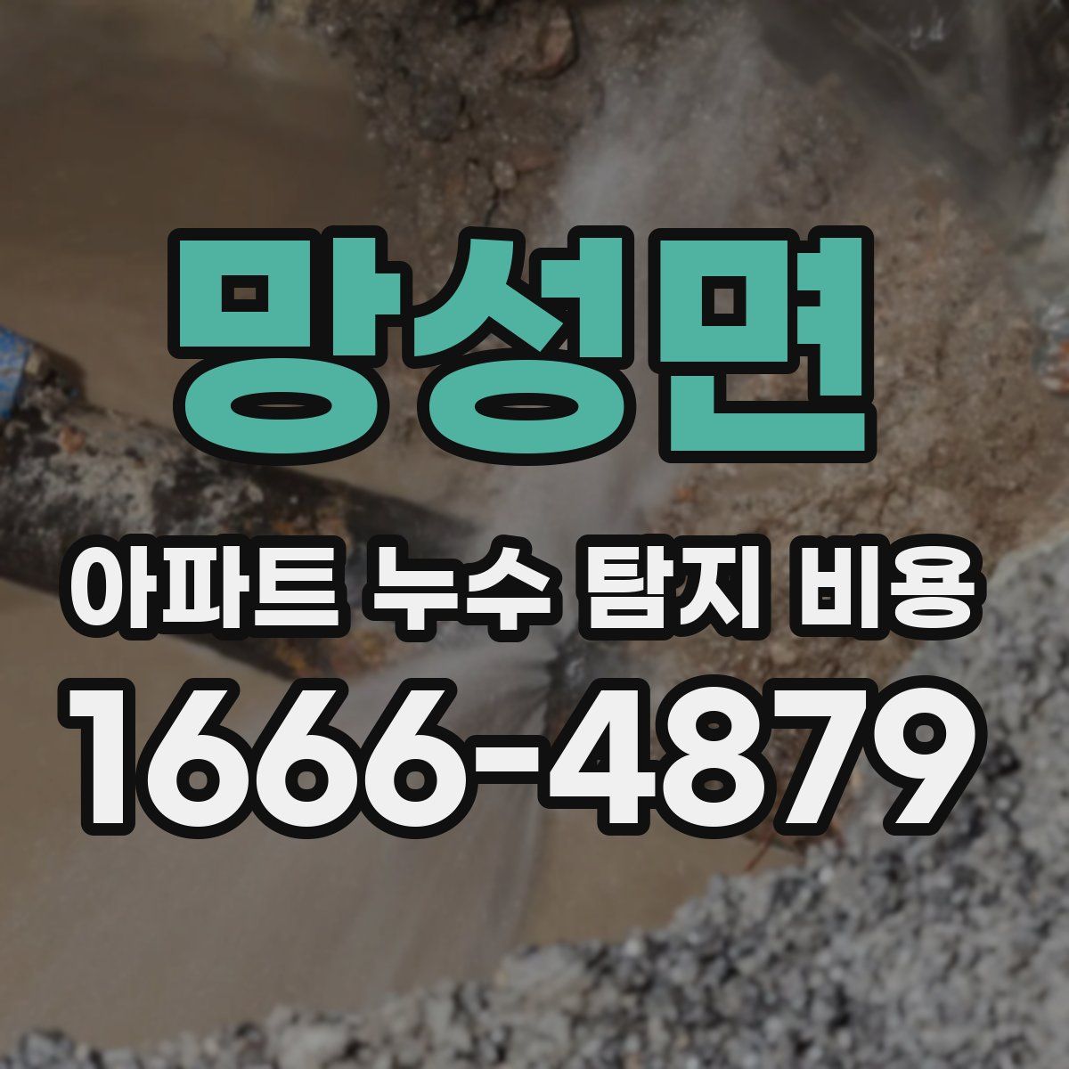 망성면 아파트 누수 탐지 비용