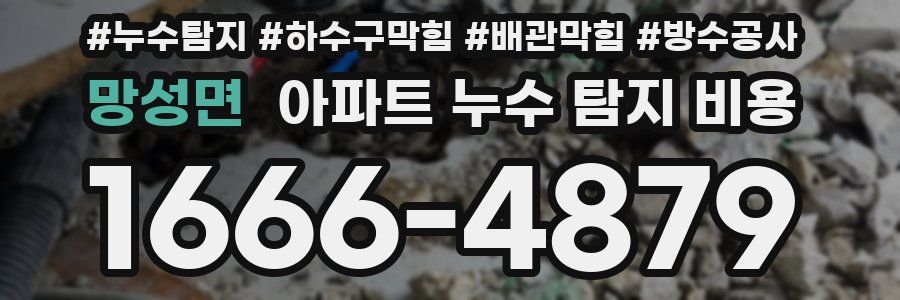 망성면 아파트 누수 탐지 비용