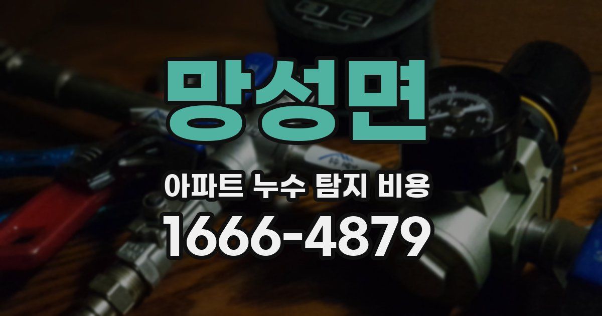 망성면 아파트 누수 탐지 비용