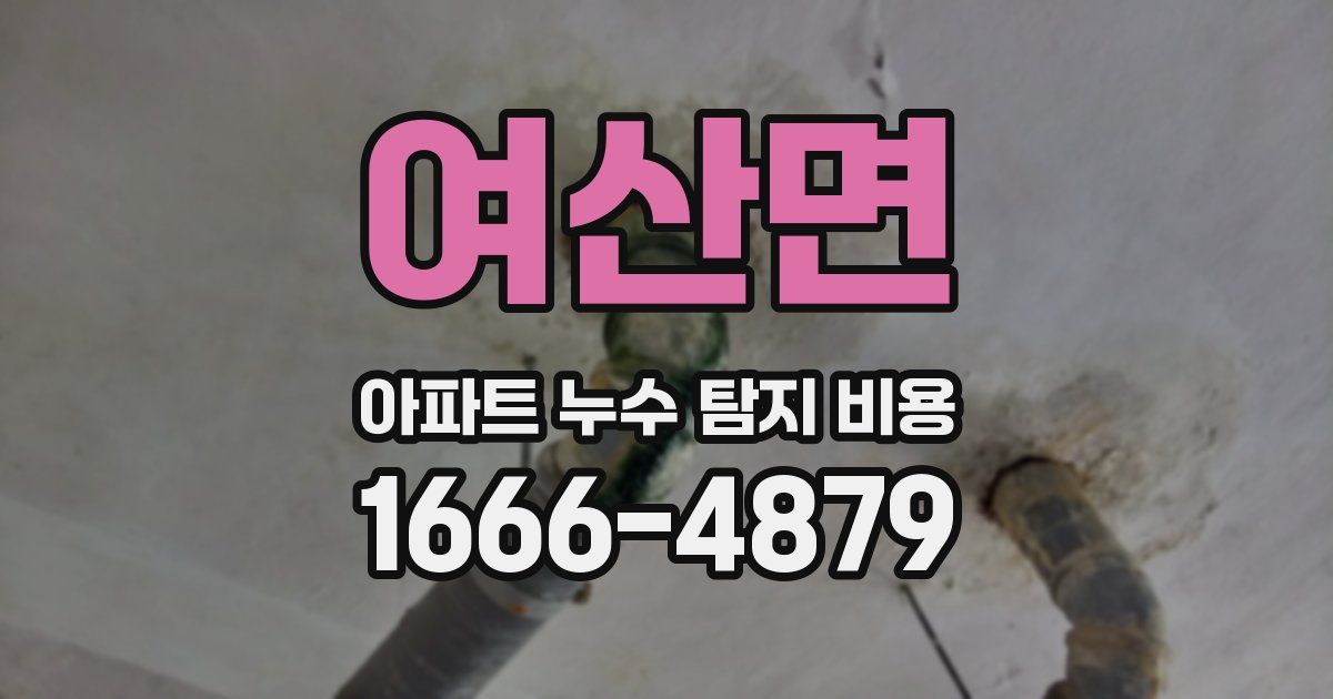여산면 아파트 누수 탐지 비용