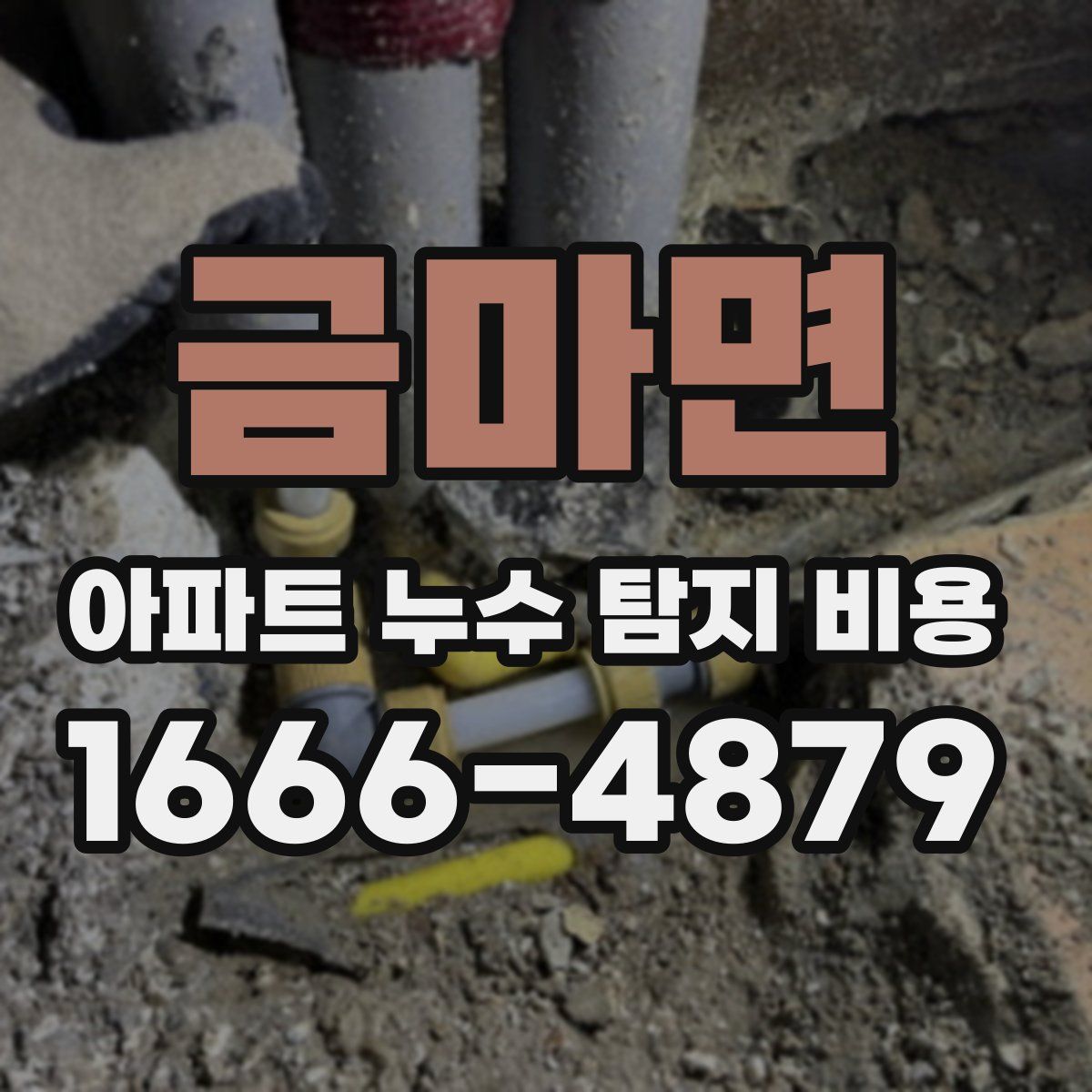 금마면 아파트 누수 탐지 비용