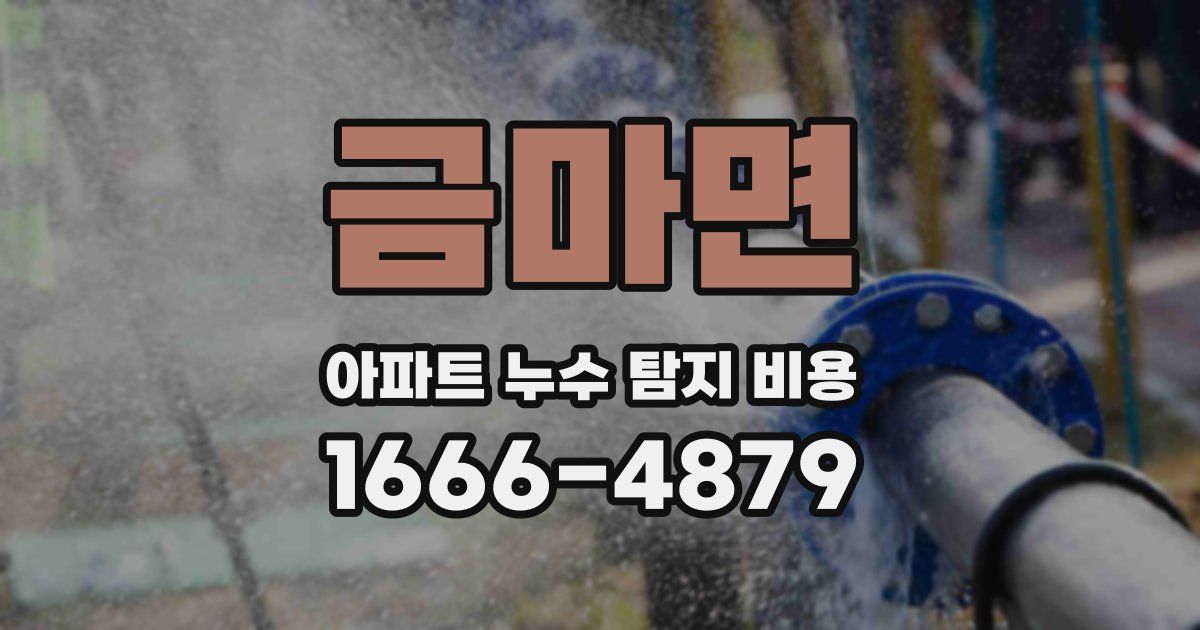 금마면 아파트 누수 탐지 비용