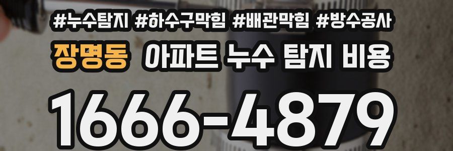 장명동 아파트 누수 탐지 비용